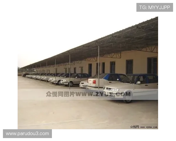 星空体育app官网会员权益与积分兑换详细说明