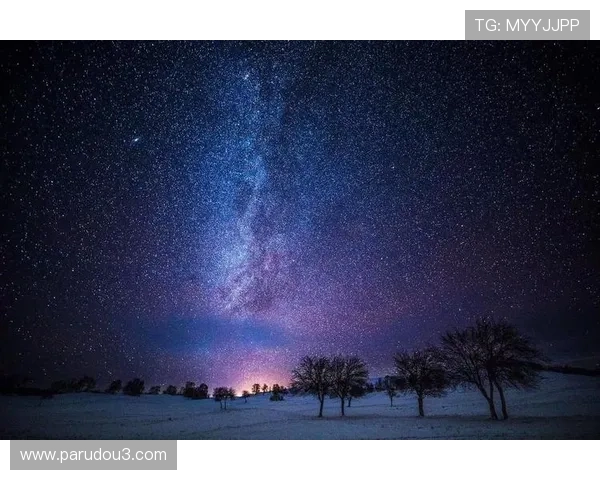 星空体育电子app：个性化运动计划制定与健康管理的智能助手