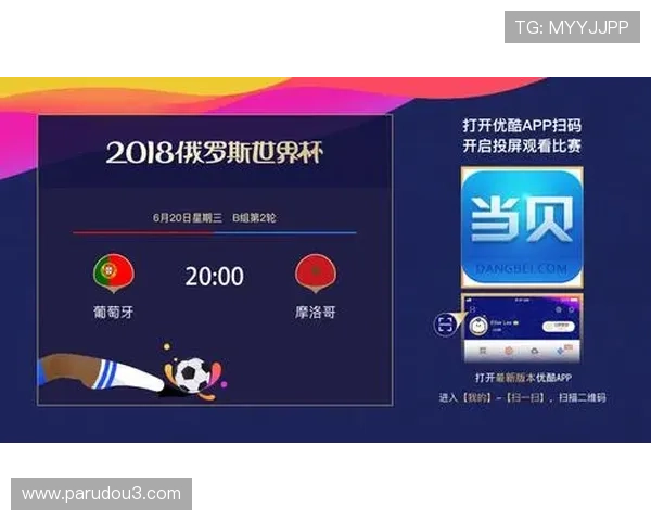 2026年世界杯新西兰对埃及比赛签证审批流程及加快办理技巧介绍